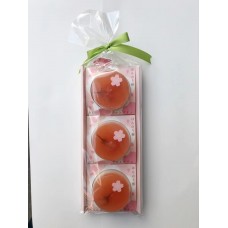 Turuyaseika Brand Sakura & Yogurt  Flavoured Pudding 